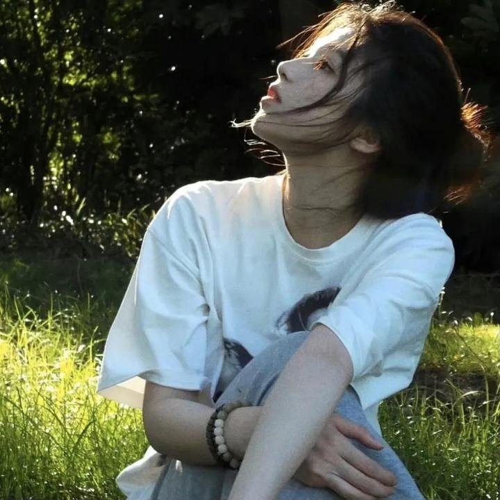 大卫林区：绿野谜踪